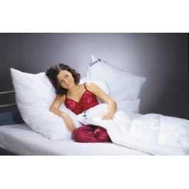 2G Lipov Ložní soupravy Clivie+ 95°C vyvařovací celoroční - 135x200 / 70x90 cm | 1+1 zdarma (2ks)
