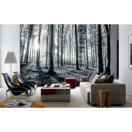 1Wall 1Wall Vliesová fototapeta Černobílý les 366x253 cm