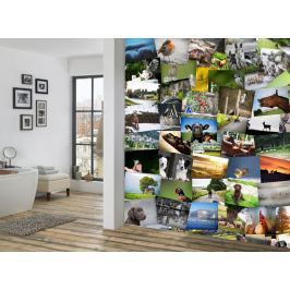 1Wall 1Wall Kreativní koláž 64 dílů 37,5 x 27,5cm Farma
