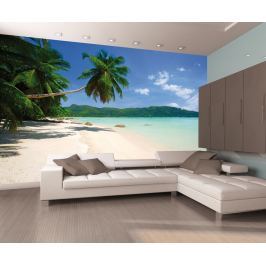 1Wall 1Wall fototapeta Palmová pláž 315x232 cm