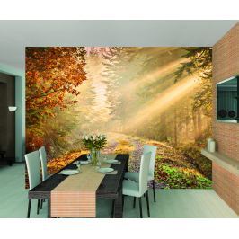 1Wall 1Wall fototapeta Podzimní les 315x232 cm
