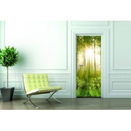1Wall 1Wall fototapeta Prosvětlený les 95x210 cm