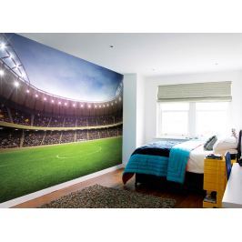1Wall 1Wall fototapeta Sportovní stadion 315x232 cm
