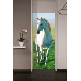 Wizard+Genius W+G fototapeta Bílý kůň 86x200 cm