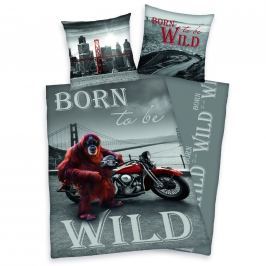 Herding Herding povlečení Born to be wild Opice na motorce 140x200,70x90