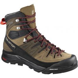 Pánské boty Salomon X Alp High Ltr Gtx® Velikost bot (EU): 44 (2/3) (UK 10) / Barva: hnědá